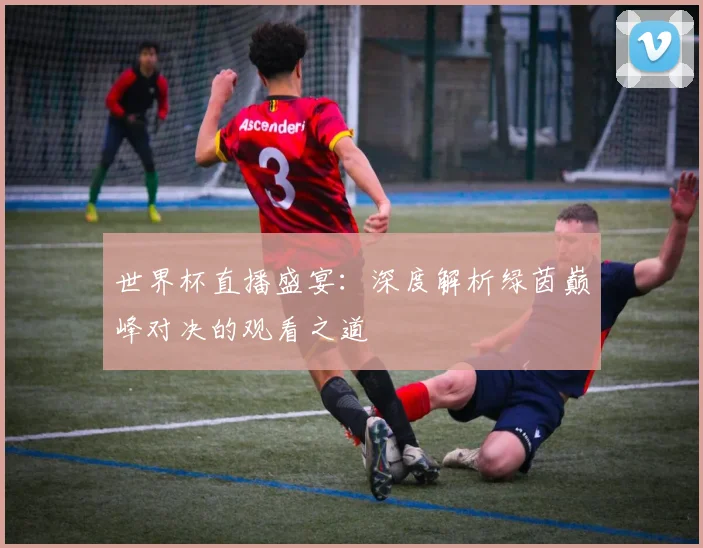 世界杯直播盛宴：深度解析绿茵巅峰对决的观看之道