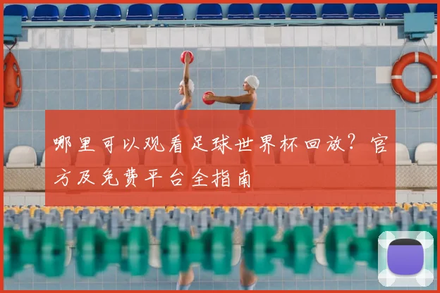 哪里可以观看足球世界杯回放？官方及免费平台全指南
